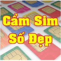 Tại sao khi cầm sim đẹp nên lựa chọn dịch vụ tại simso.vip